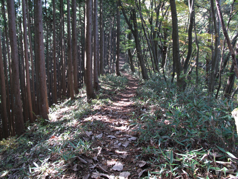 20171102hike (164)